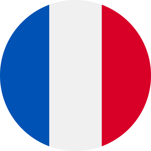 Icon_language_3