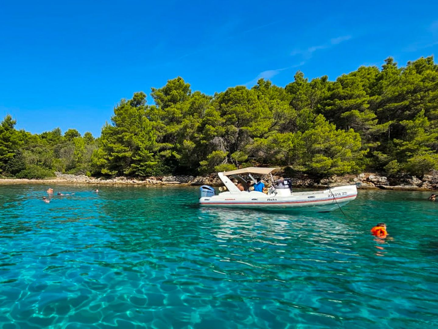 Ugljan Uvala Frnaza  speedboat tour Green Bay 3