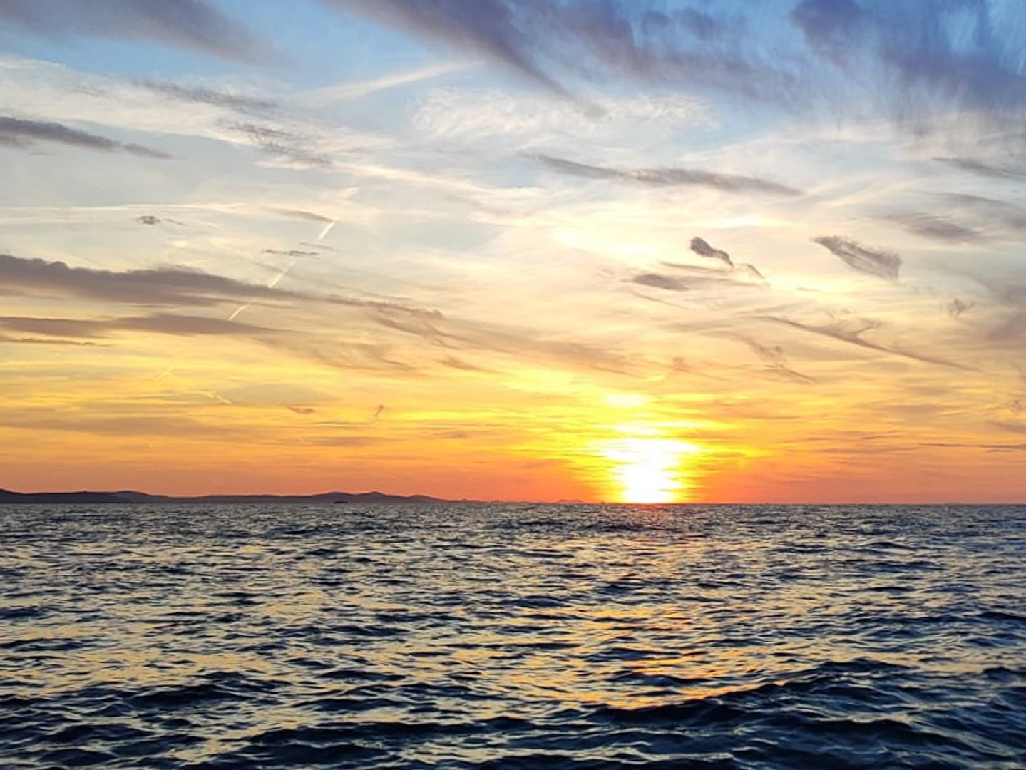 Sunset Tour Greenbay Speedboat 4