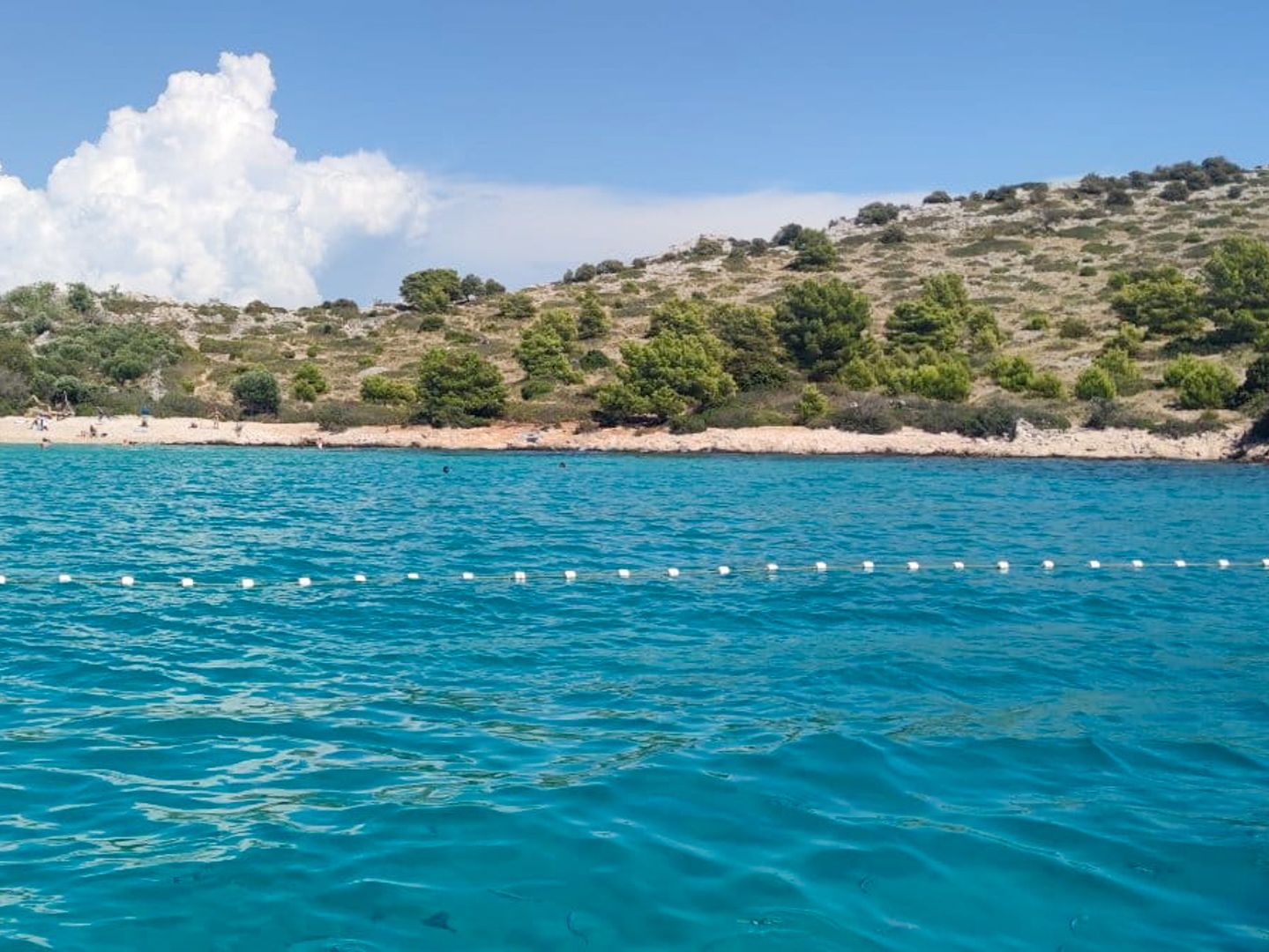 Kornati Lojena  speedboat tour Green Bay 8